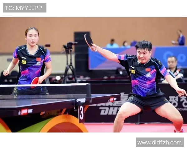 杭州乒乓球队在总决赛中的耐力表现分析与启示